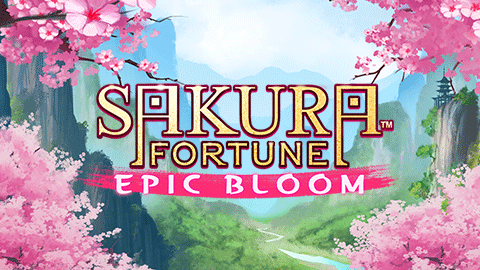 SAKURA FORTUNE EPIC BLOOM